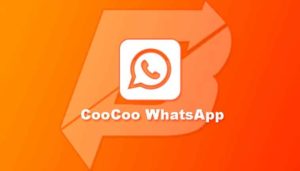 Download CooCoo WhatsApp dan Nikmati Beragam Fitur Didalamnya