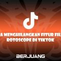 Cara Menghilangkan Fitur Filter Rotoscope di Tiktok
