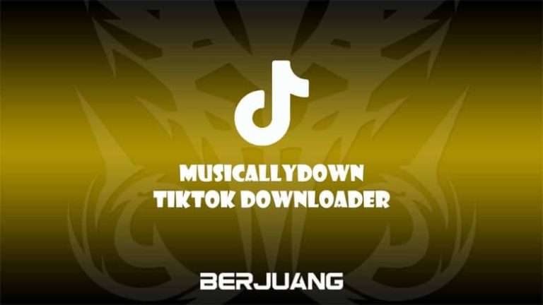 Musicallydown Tiktok Downloader