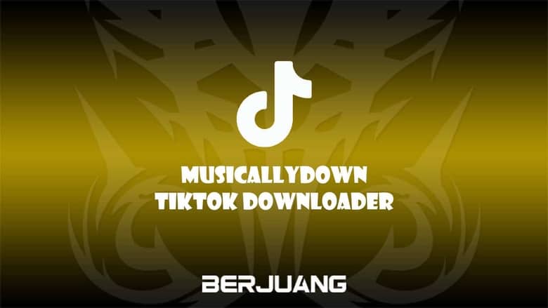 Musicallydown Tiktok Downloader