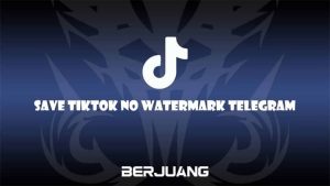 Save Tiktok No Watermark Telegram