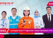 PT Paguntaka Cahaya Nusantara (PLN Group)