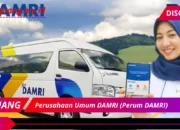 Perusahaan Umum DAMRI (Perum DAMRI)