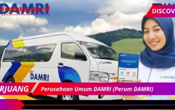 Perusahaan Umum DAMRI (Perum DAMRI)