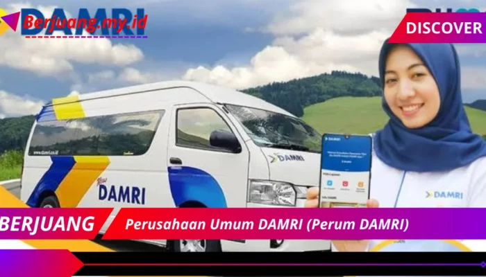 Perusahaan Umum DAMRI (Perum DAMRI)