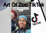 Art of The Zoo