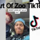 Art of The Zoo